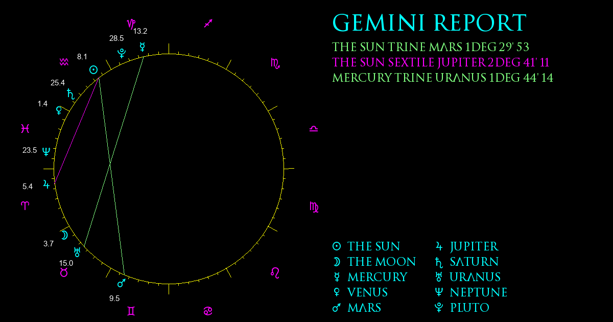 Gemini Report